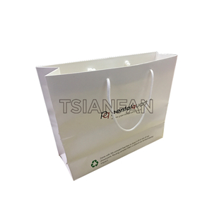 PVC tote bag BSPVC